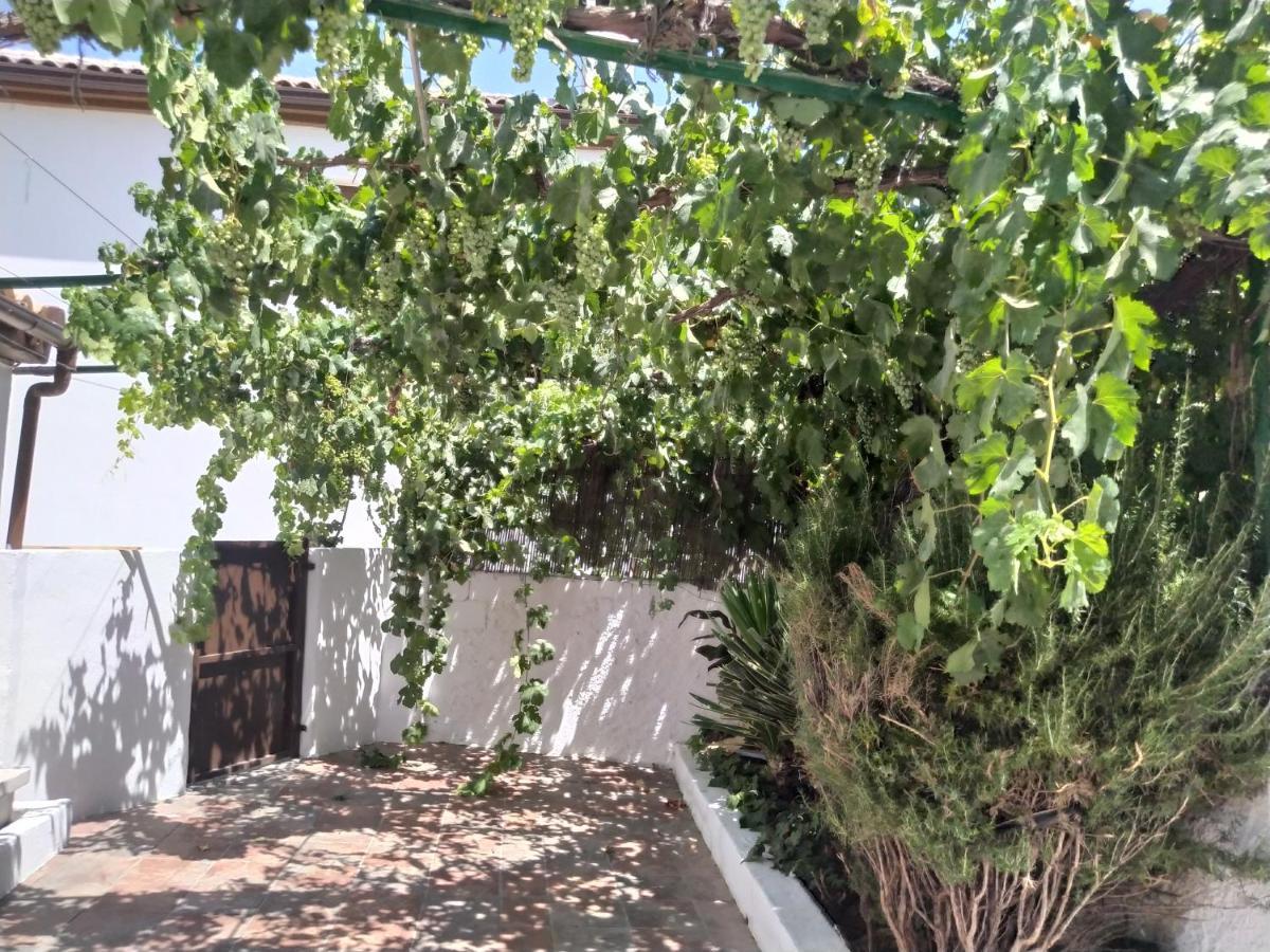 La Casa Del Ingles Villa Montefrío Dış mekan fotoğraf